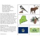MAINE State Symbols ADAPTED BOOK for Special Education and Autism